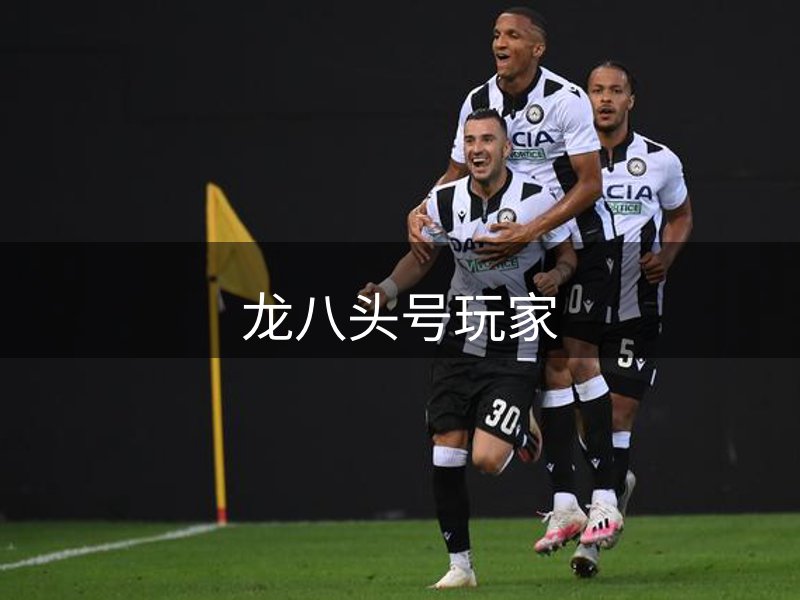 龙八头号玩家概况